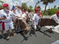 Ernest Hemingway look-alikes walk with fake bulls during the "Running of the Bulls" Saturday, July 21, 2018, in Key West, Fla. Held on the 119th anniversary of Hemingway’s birth, the whimsical take-off on the famed run in Pamplona, Spain, was a facet of the island city's annual Hemingway Days festival that ends Sunday, July 22. Hemingway lived and wrote in Key West throughout most of the 1930s. FOR EDITORIAL USE ONLY (Andy Newman /Florida Keys News Bureau/HO)
