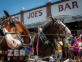 Budweiser_Clydesdales_Truman_Waterfront_Duval_Street_Sloppy_Joes_Bar_Key_West-9325