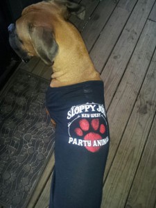 Dog wearing a sloppy joes t shirt