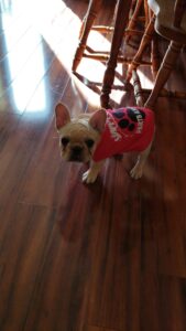20190607 172601weezie