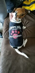 Maggie