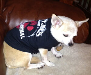 September riley in sloppy joes shirt