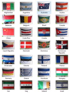 Flags 1